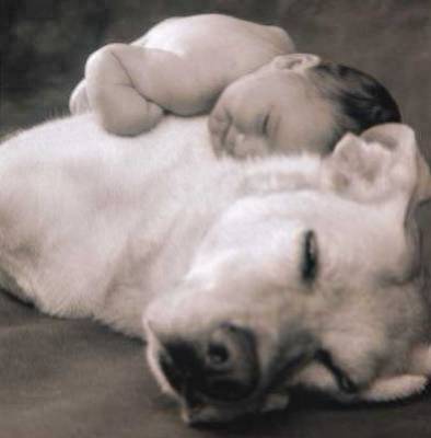 TrOp MiMi L'iMaGe !!!!!!!